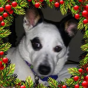 Meet your Posher, Deanna